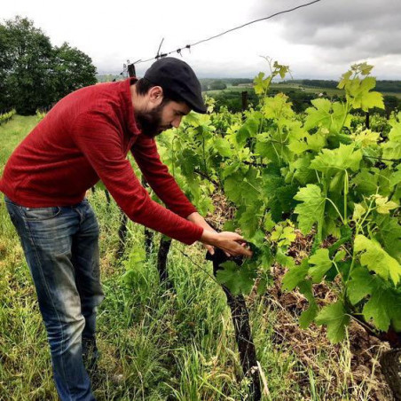 Domaine de l'Ambitio