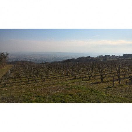 La Ferme des 7 Lunes