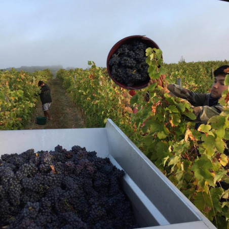 Manoir de la Tête Rouge