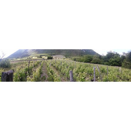 Cellier de la Baraterie