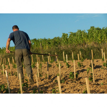 La Ferme du Mont Benault