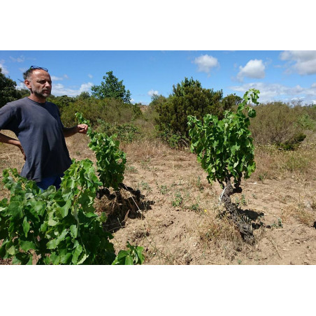 Domaine de l'Ausseil