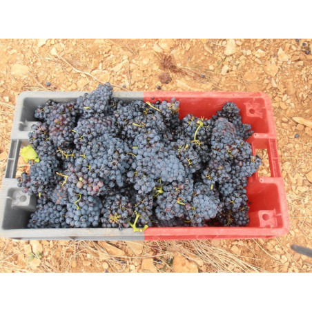 Domaine des Terres Promises