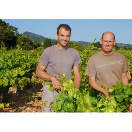 Domaine des Amouriers