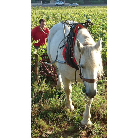 Domaine Chandon de Briailles