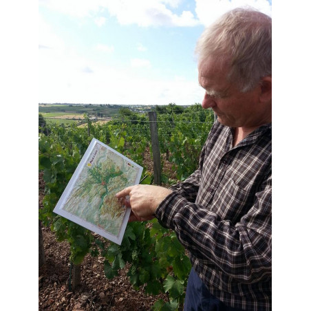 Domaine Patrick Baudouin