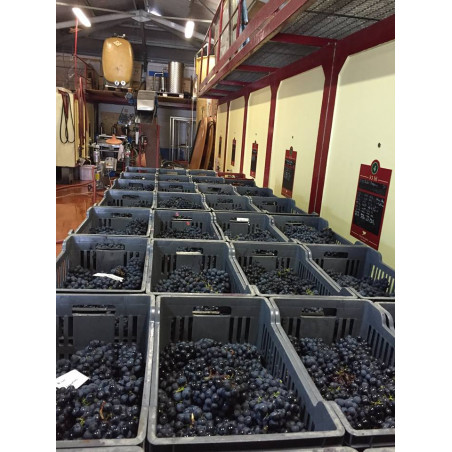 Domaine Elian Da Ros